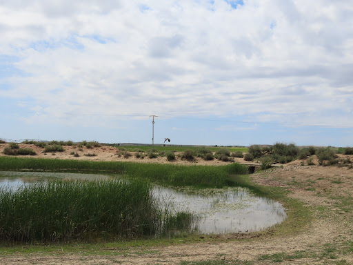 Lagunas - Visual