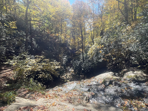 Glen Burney Falls & Cascades - Thumbnail