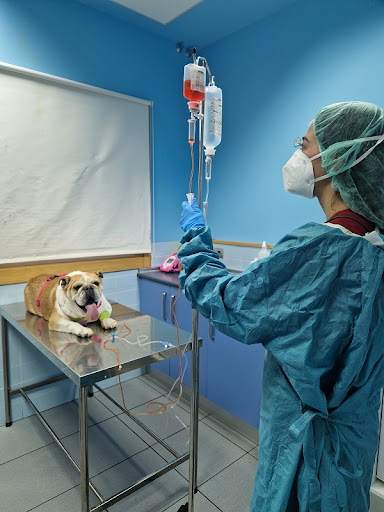 Clínica Veterinaria El Parque Talavera