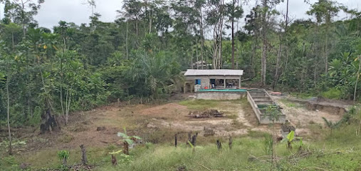 Ferme Piscicole Ombassi