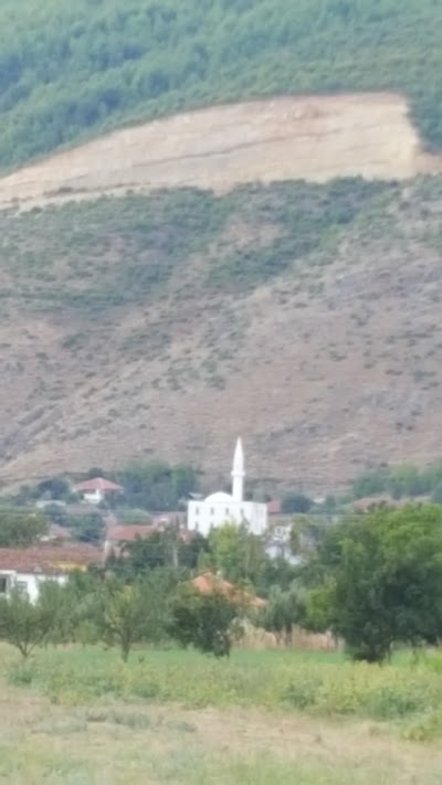 Xhamia Gështenjas.