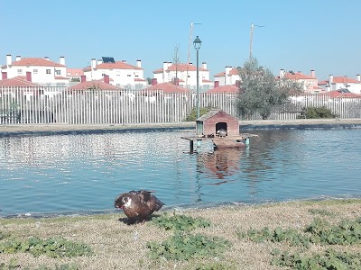 Photos of Parque De Los Patos