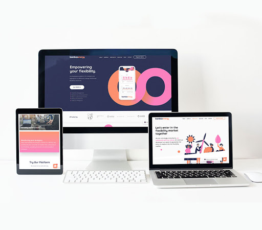 Sara Rovira, Web Agency