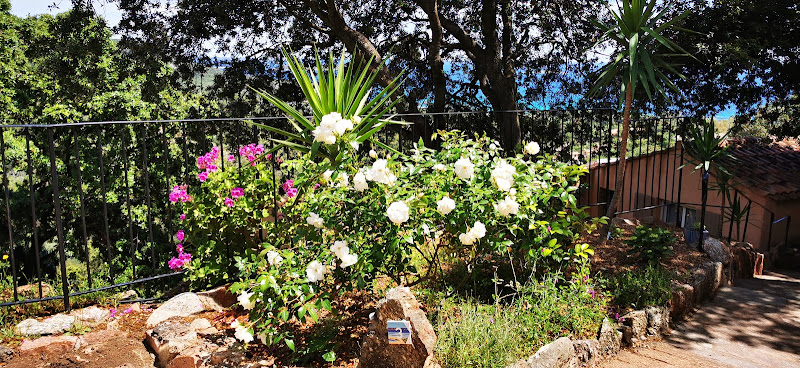 Résidence Belvédère de Palombaggia by null