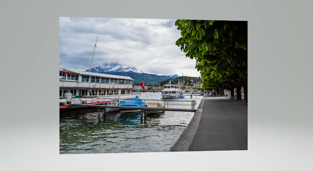 My Geneva Limousine Telefonnummer