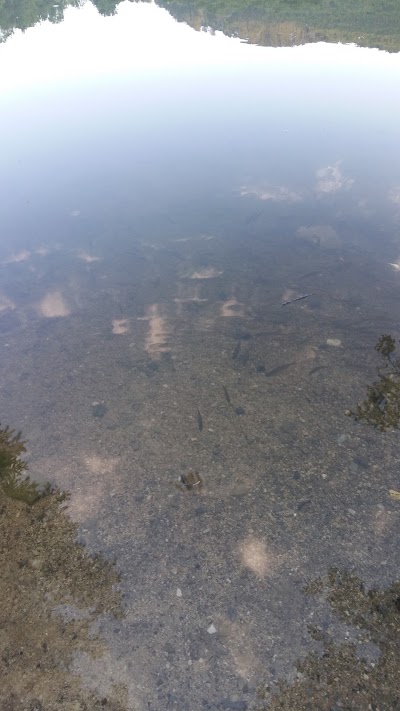 Photos of Szalajka-Halast&oacute;