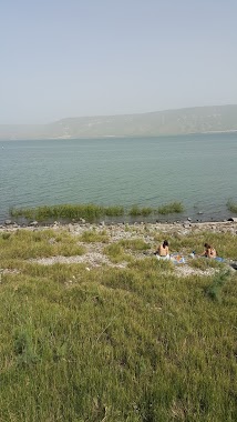 Zinabberay Beach, Author: נירה שוישה