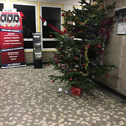 Photo n°14 de CUC Loisirs & Vacances à Clermont-Ferrand (Camp d'été)