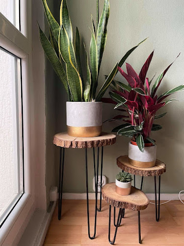 https://madej-handmade.pl/