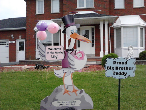 The Stork Dispatch - Visual