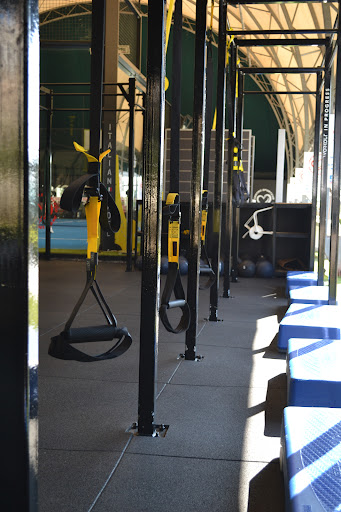 Workout in Progress - Visual