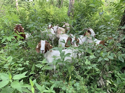 Robison Wildlife Area