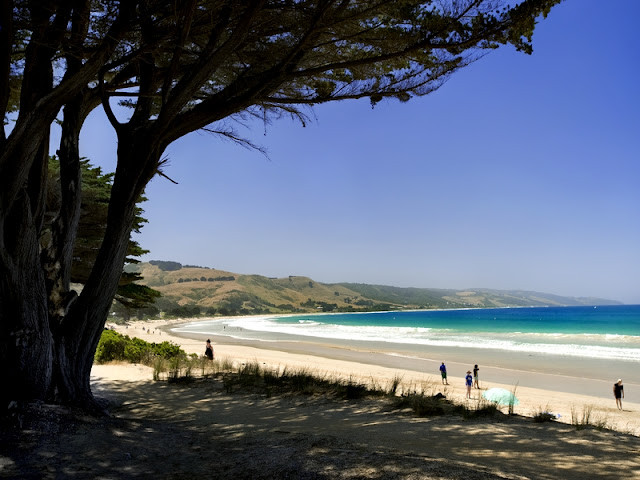 Apollo Bay Holiday Park by null