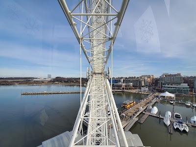 The Capital Wheel