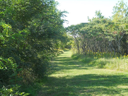 Sebewaing County Park - Thumbnail