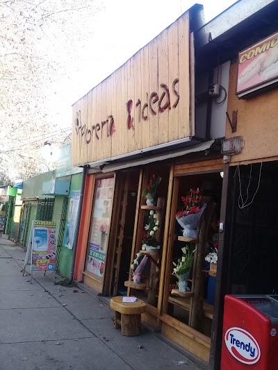 Photos of floreria & ideas