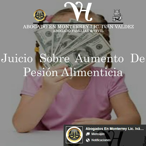 Abogado En Monterrey Lic. Iván Valdez - Thumbnail