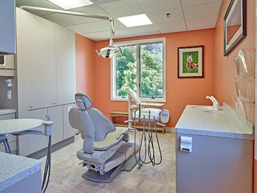 Dr. Mickey’s Pediatric & Orthodontic Specialists - Thumbnail