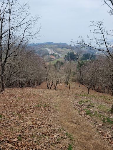 North Way (high route) - Thumbnail