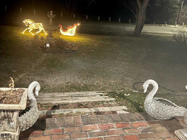 The Copper Swan by null