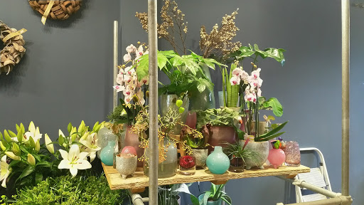 Bloomstyle - Visual