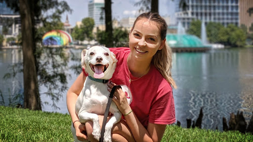 Picture of The City Beautiful Walk