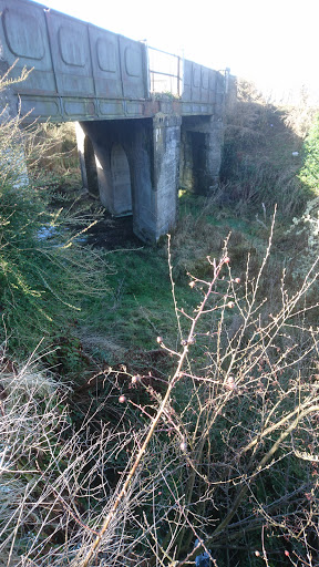 Maybole - Thumbnail