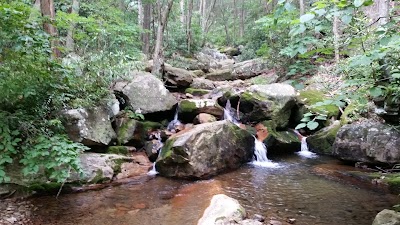 Photos of Cherokee National Forest