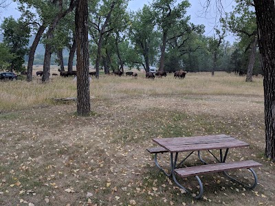 Cottonwood Campground