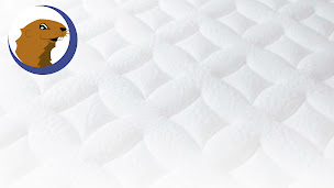 Photo n°2 de La Halle au Sommeil Fecamp - Literie et Canapé à Saint-Léonard (Magasin de canapés)