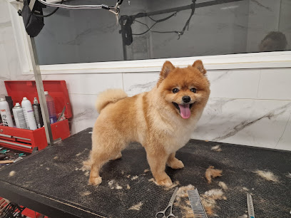 Salón de Belleza Mimos - Peluquería canina y Consulta Veterinaria