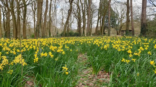 Parc de la forêt de Montgeon - Thumbnail