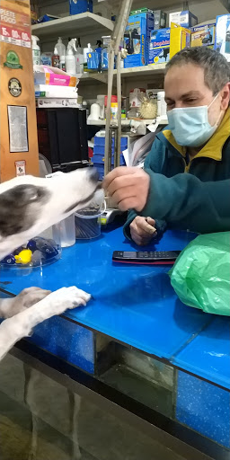 Tienda de Animales la Carolina - Thumbnail
