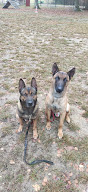 Techni' Chien - Centre Canin à Herrlisheim