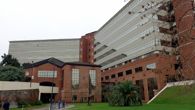 Hospital Universitario Austral, Author: Aurelio Horacio Bujaldon