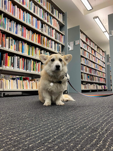 Hawthorn Library - Thumbnail