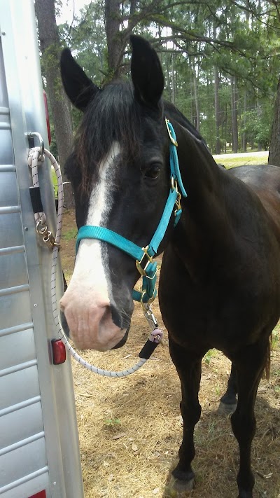 Gum Springs Horse Campground