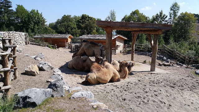 Zoo Zürich