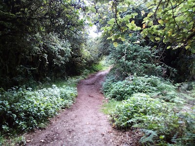 Photos of Ngong Hills Nature Reserve