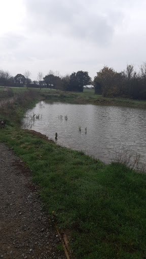 Cranfield Park - Visual