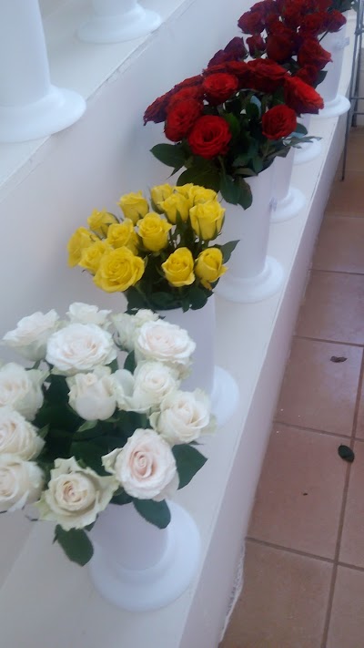 Photos of Ravine Karen Roses