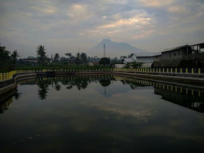 Photos of Pusat Durian Embung Banjarharjo