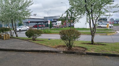 Photos of Patio Alerce