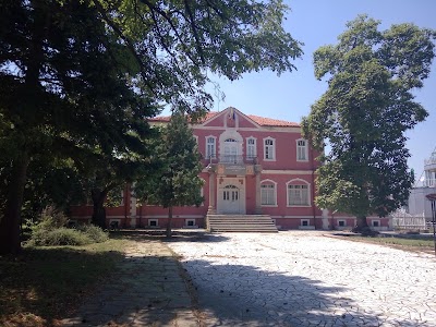 Photos of Художествена галерия "Станка Димитрова"