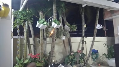 Photos of Hotel Don Francisco.
