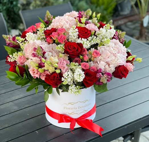 Bulevardul Mamaia 165, Constanța 900534