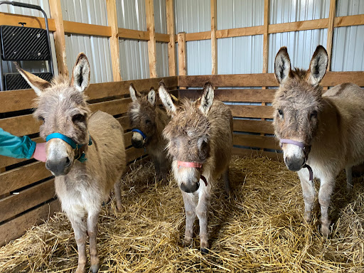 Lindquist Veterinary Center - Thumbnail