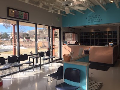 Photos of Arvada Veterinary Hospital