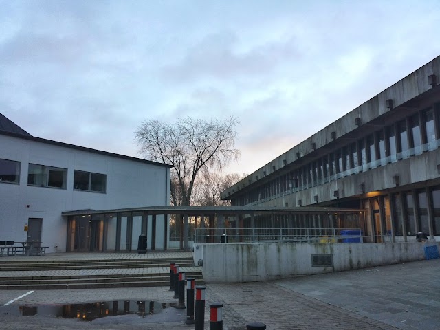 DTU Building 101 Sports Hall
