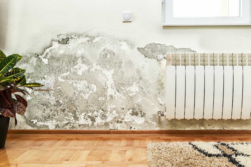 Mold Remediation Pros photo